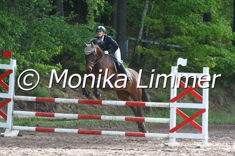 104M7506_Spring A.JPG